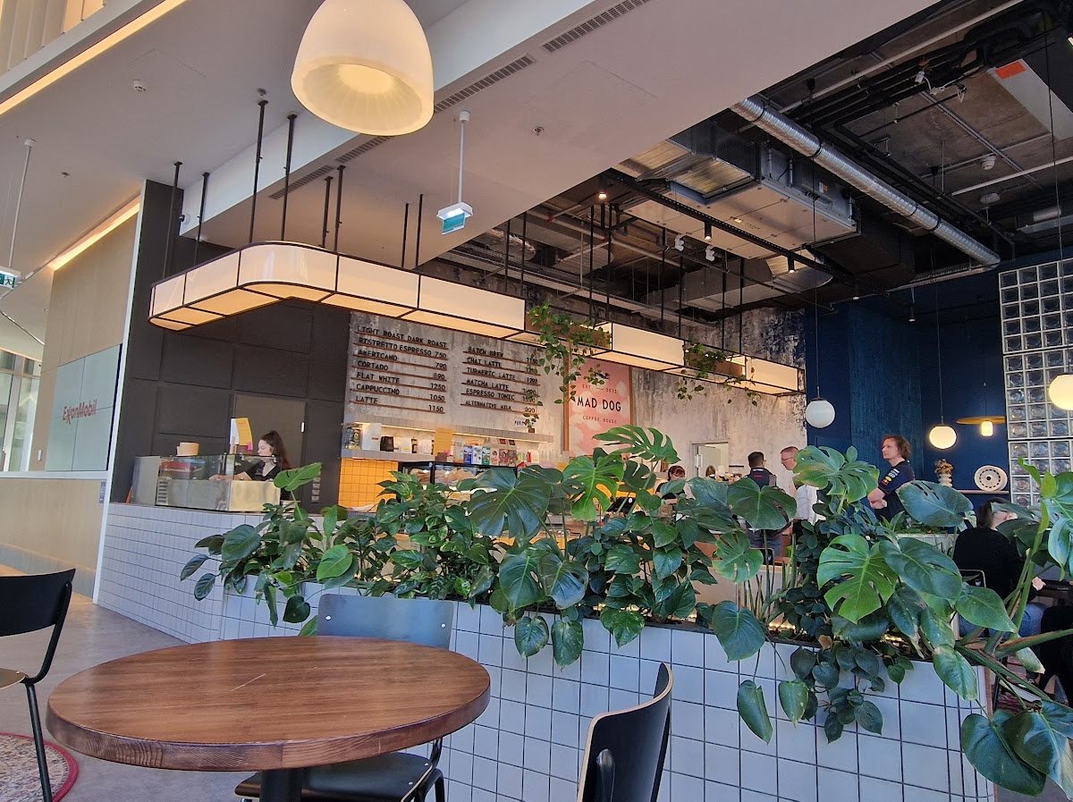 Mad Dog Coffee_Hangár specialty coffee shop in Budapest - photo 7