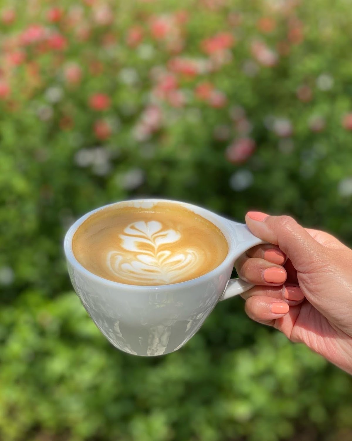 Elabrew Coffee specialty coffee shop in Los Angeles - photo 3