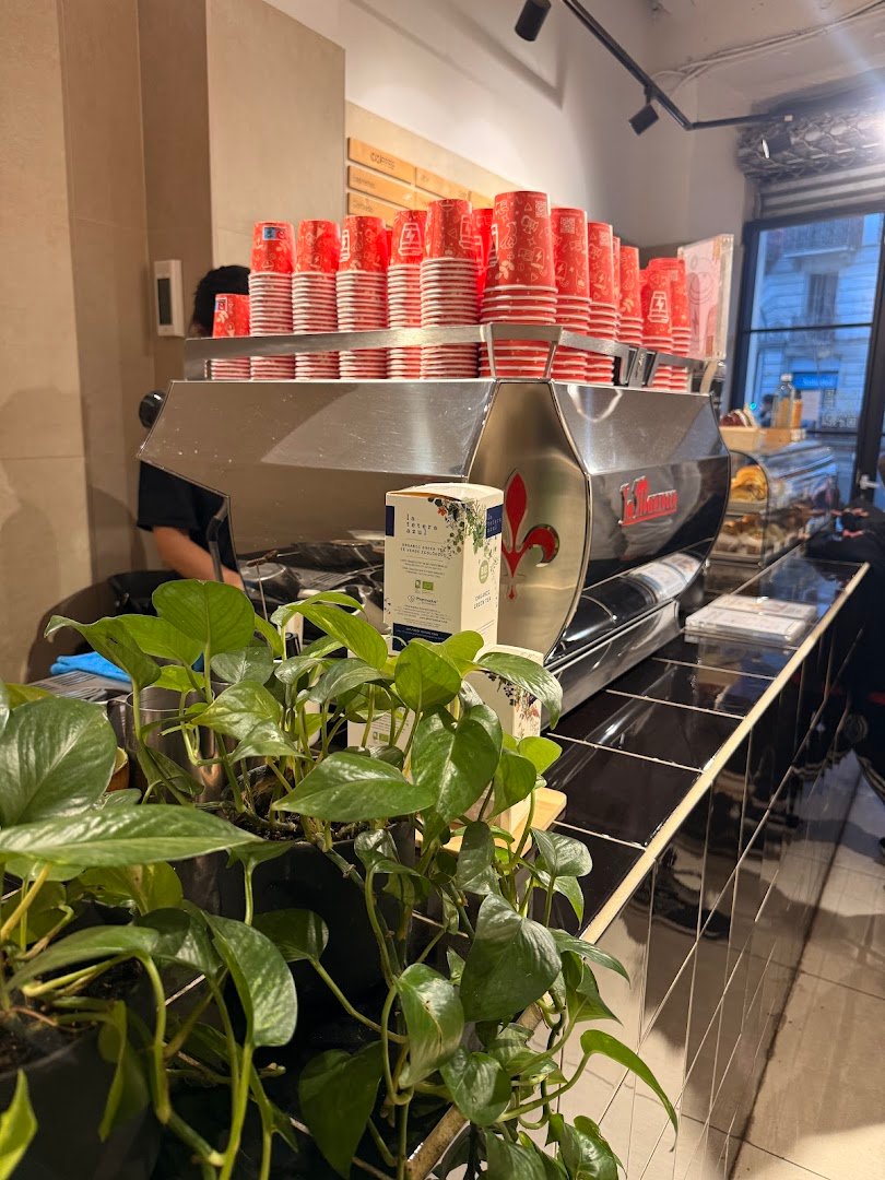 Syra Coffee - Bruc specialty coffee shop in Barcelona - photo 6