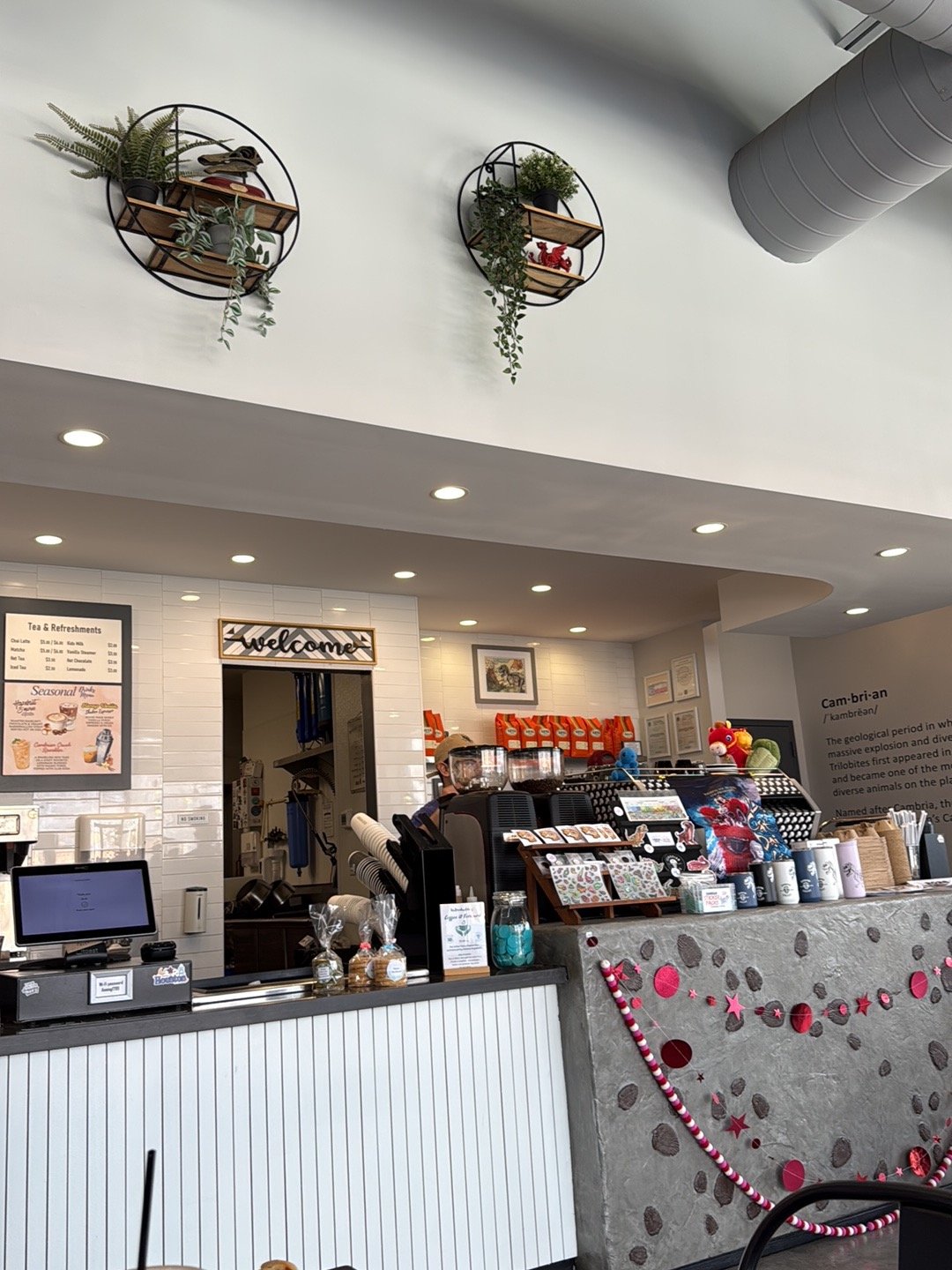 Cambrian Coffee specialty coffee shop in Houston - photo 4