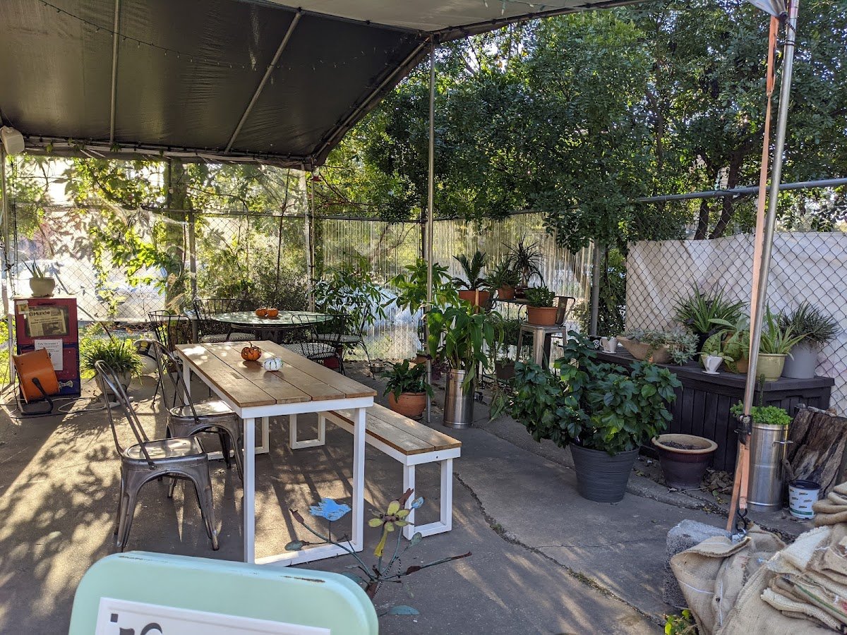 Texas Coffee Traders Cafe specialty coffee shop in Austin - photo 2