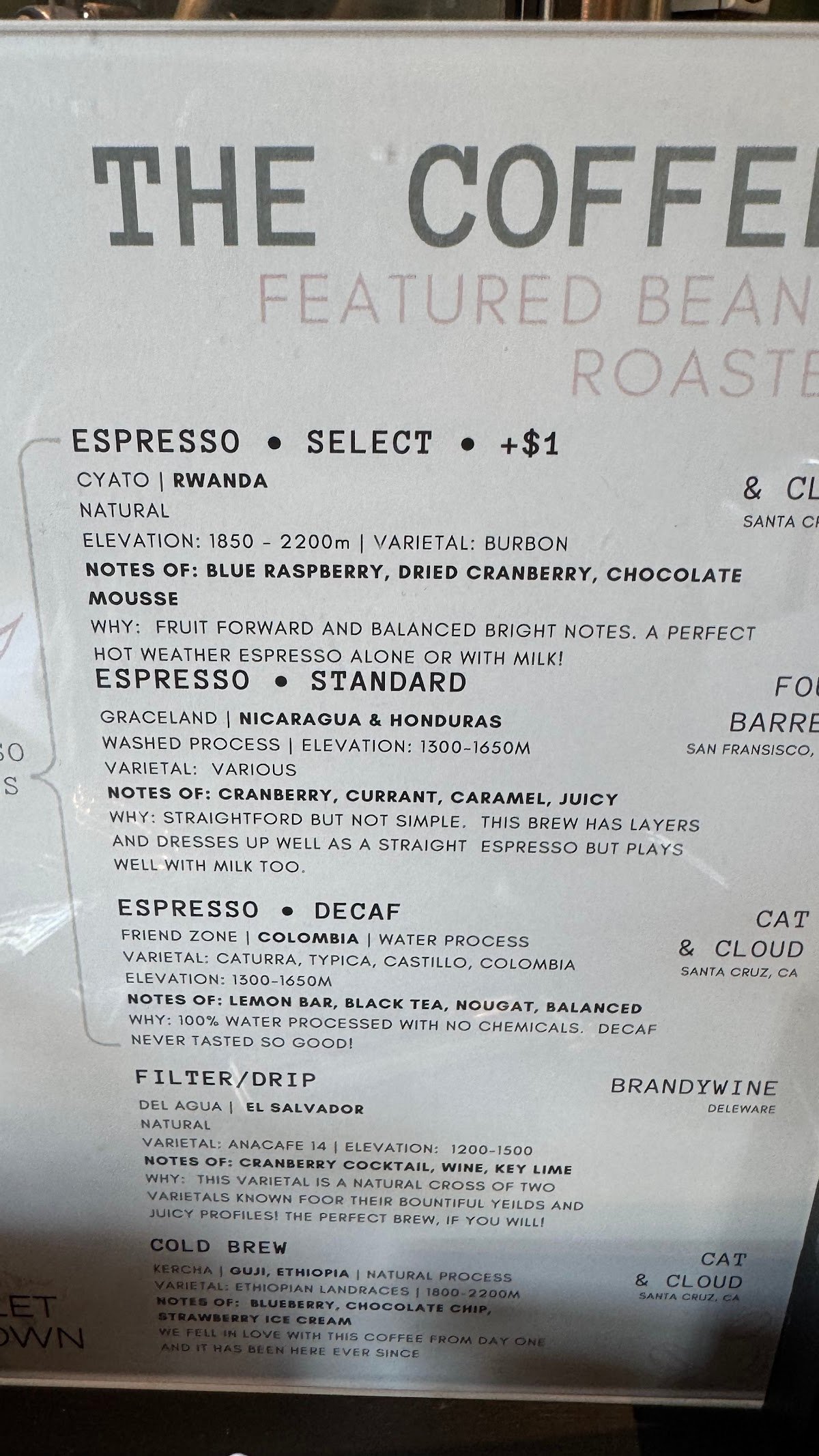 The Violet Crown Wine Bar & Coffee Shop specialty coffee shop in Austin - photo 8