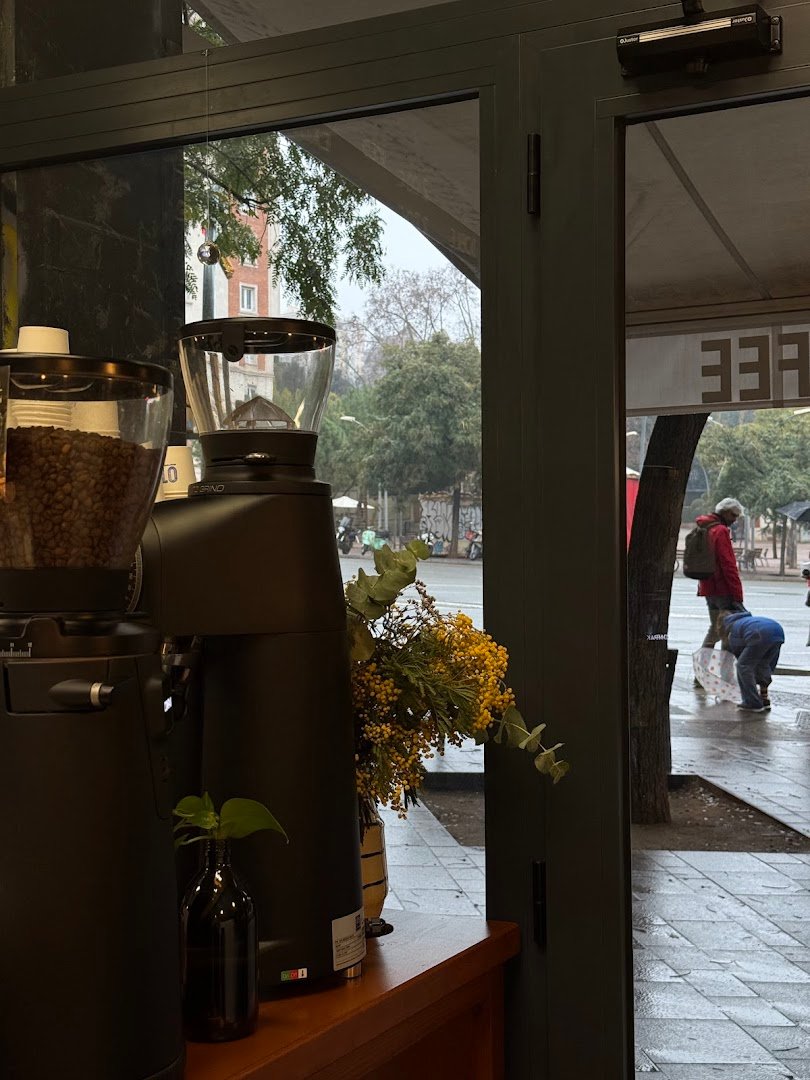 OTTO Specialty Coffee specialty coffee shop in Barcelona - photo 9