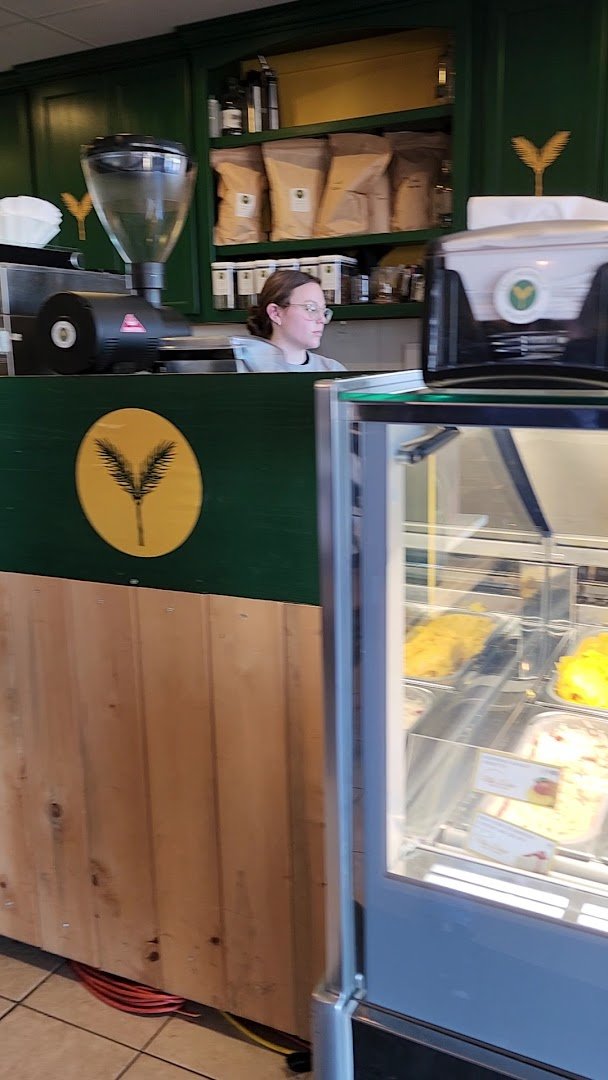 Interior of Yellow Spruce Roasters & Wine Bar, specialty coffee shop in Scottsdale