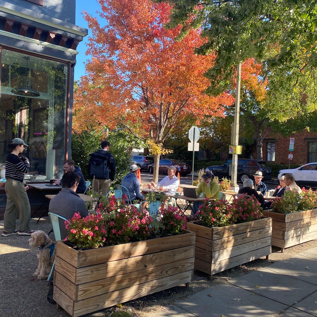 The Coffee Bar specialty coffee shop in Washington, D.C. - photo 10