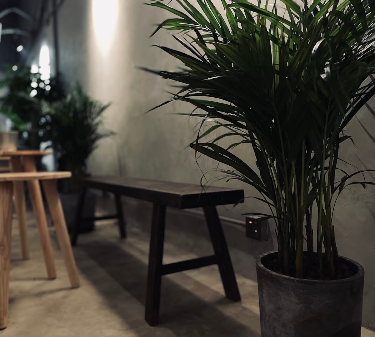 Interior of DOZY, specialty coffee shop in Hong Kong