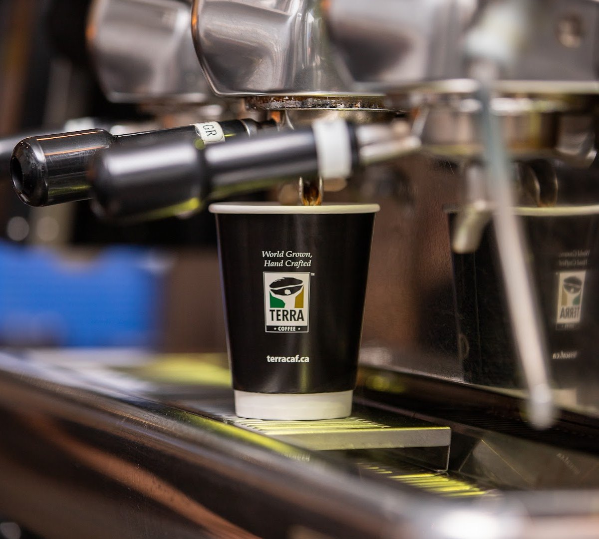 Coffee at Terra Café et Thé, specialty coffee shop in Montreal