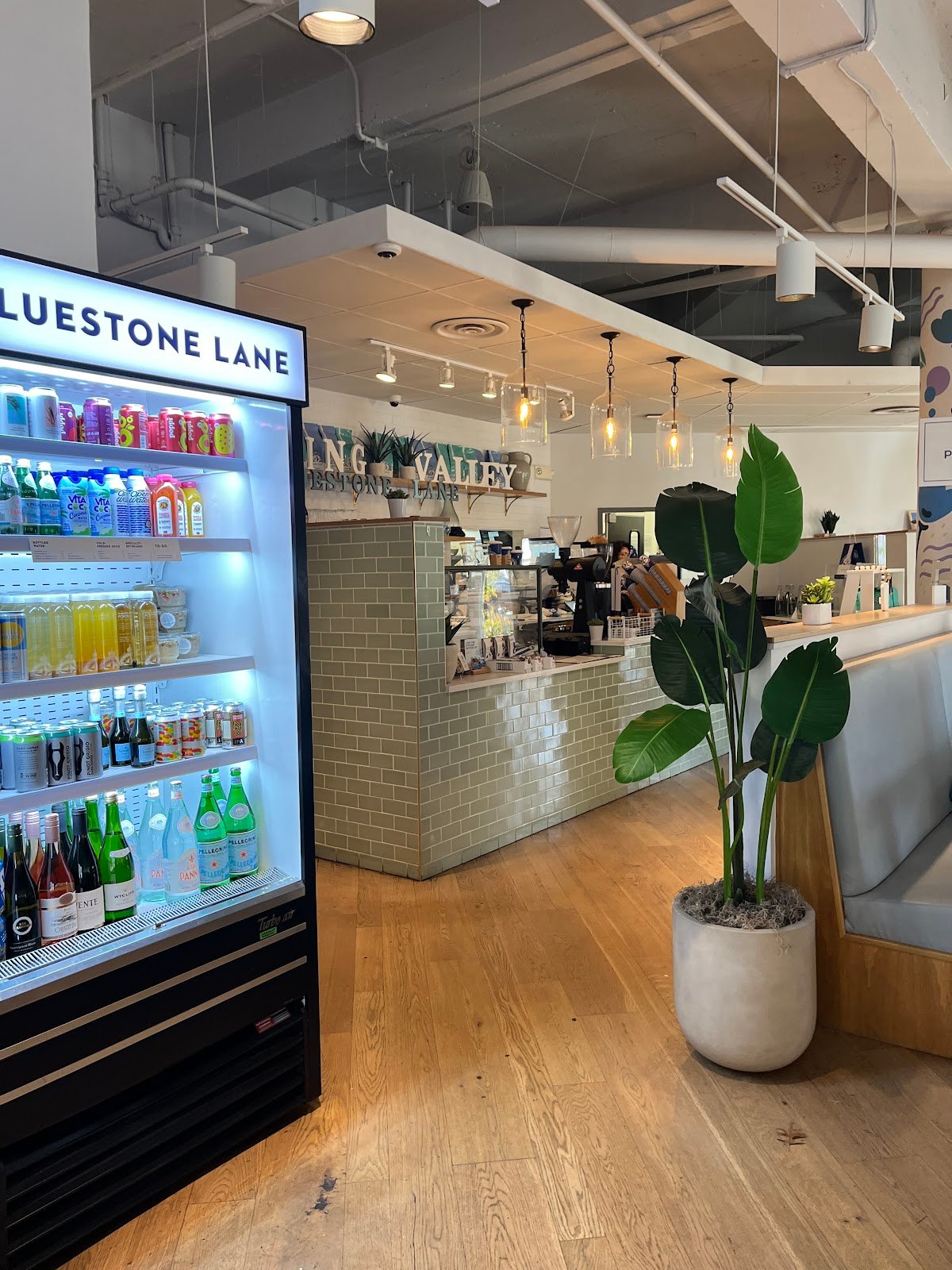 Bluestone Lane Spring Valley Café specialty coffee shop in Washington, D.C. - photo 7