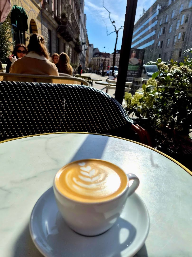 Sonny specialty coffee shop in Copenhagen - photo 5