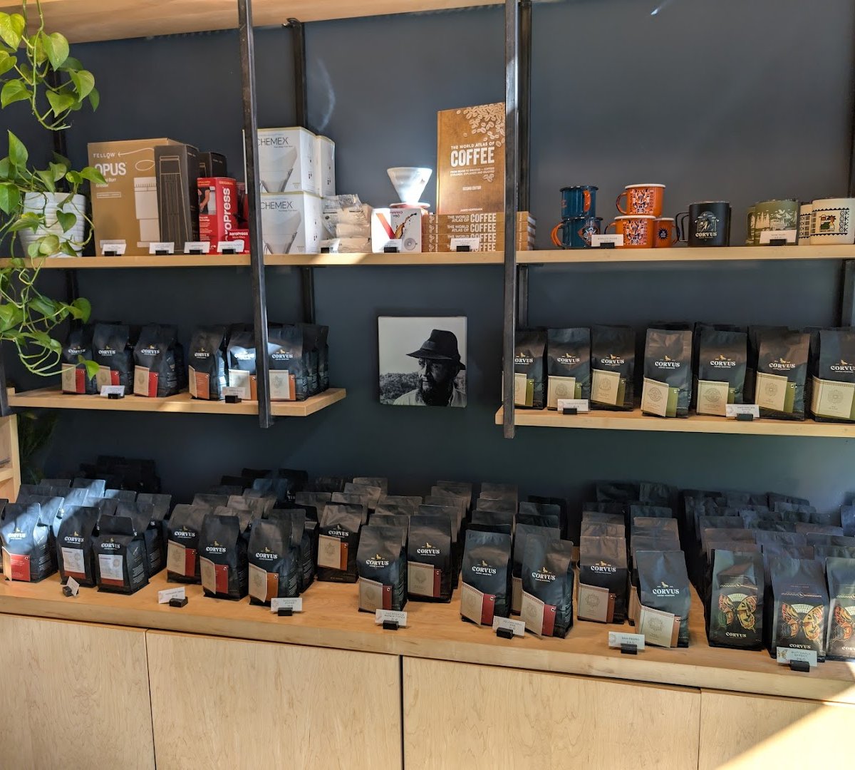 Corvus Coffee Roasters specialty coffee shop in Denver - photo 12