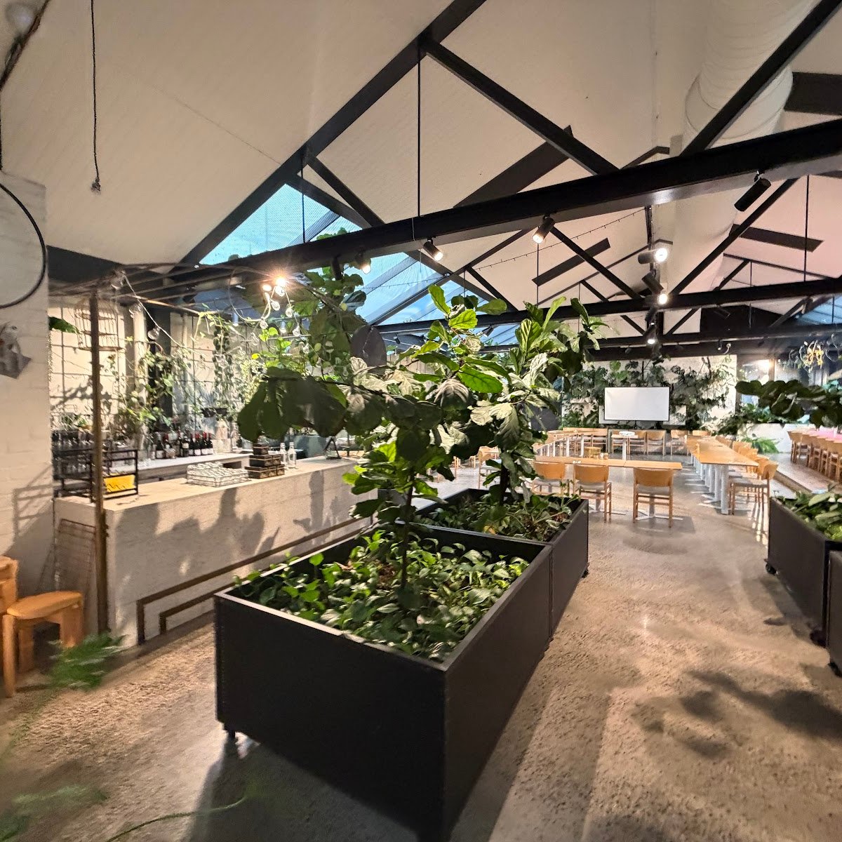 Interior of Au79, specialty coffee shop in Melbourne