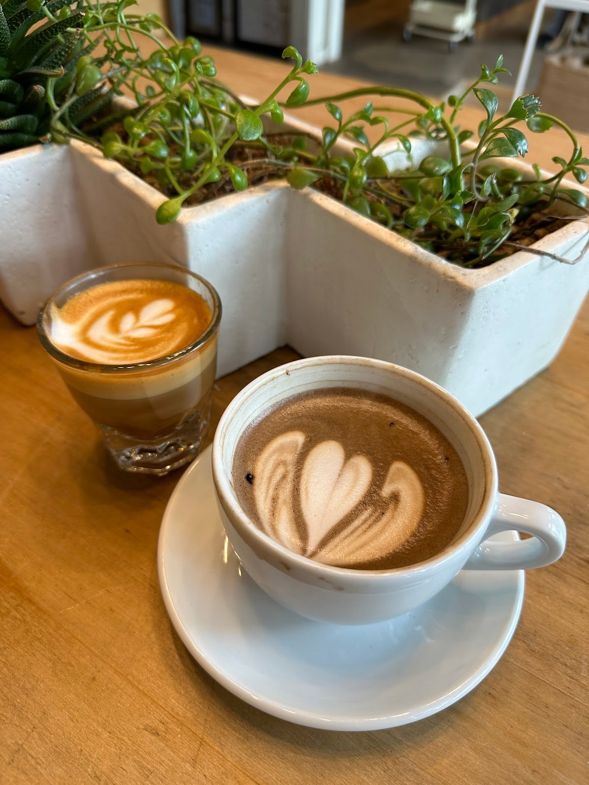 Noble Coyote Coffee Roasters specialty coffee shop in Dallas - photo 2