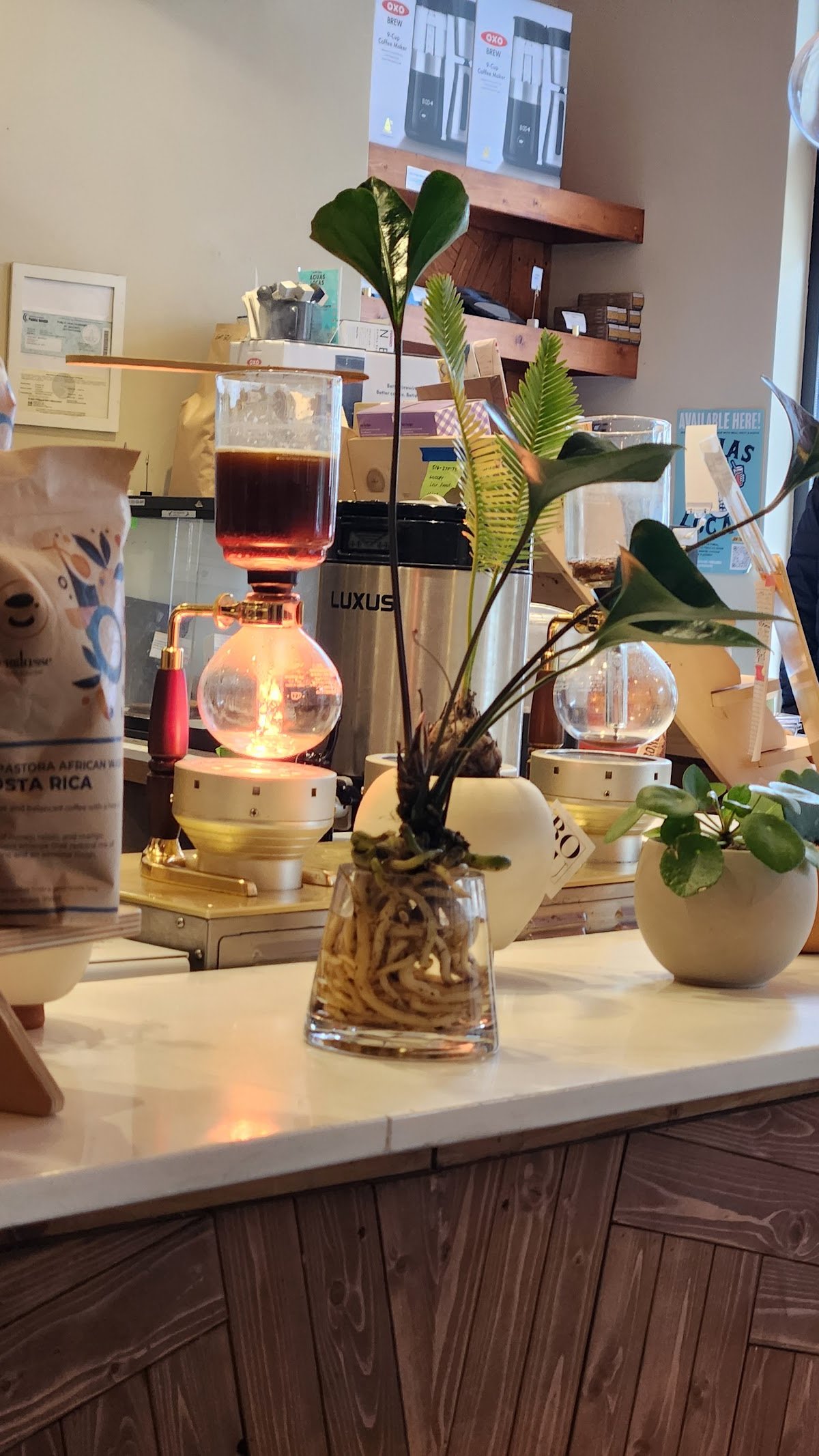 Demitasse specialty coffee shop in Los Angeles - photo 10