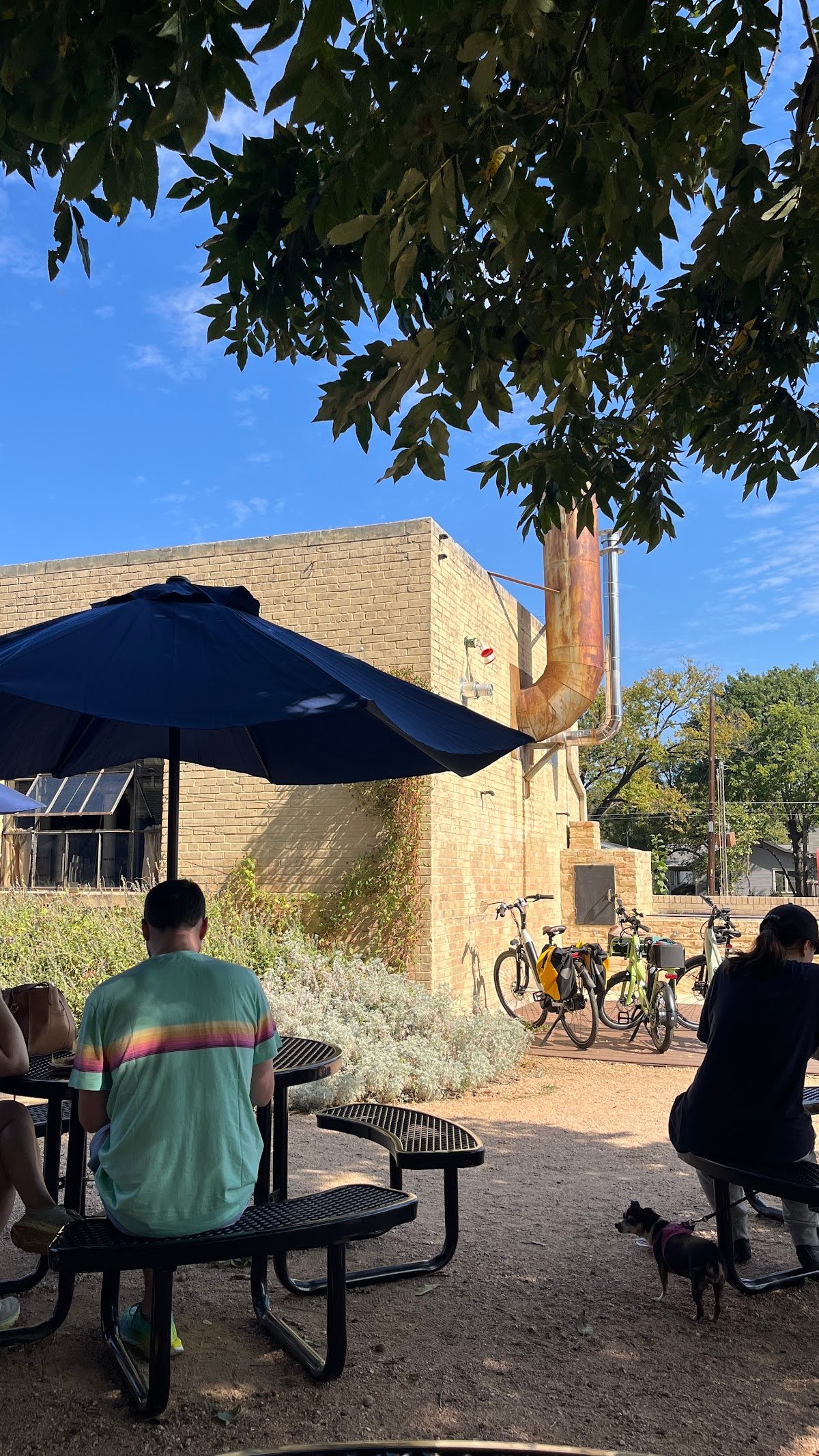 Terrible Love specialty coffee shop in Austin - photo 11