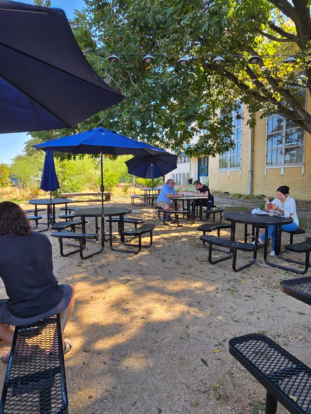 Terrible Love specialty coffee shop in Austin - photo 2