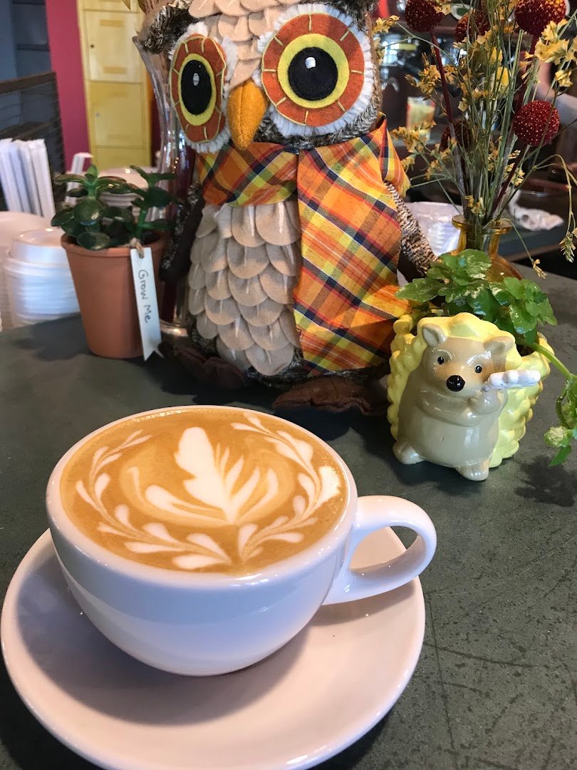 Tidal Grounds Coffee specialty coffee shop in Charleston - photo 8