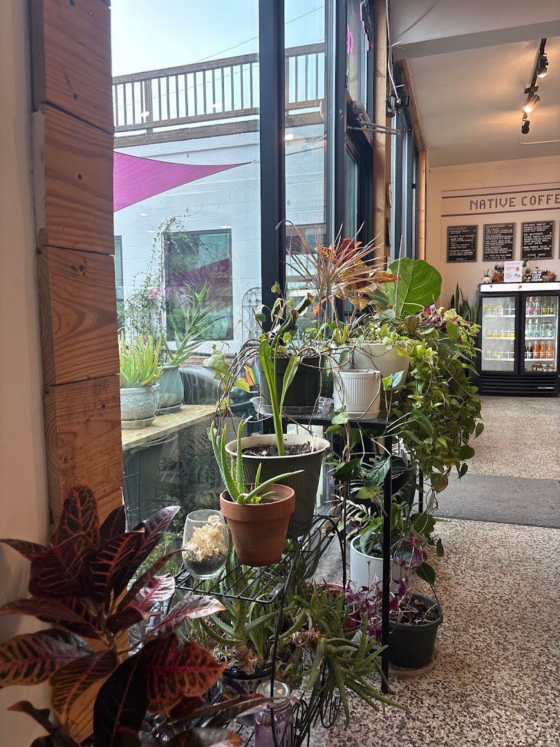 Native Coffee specialty coffee shop in Houston - photo 12