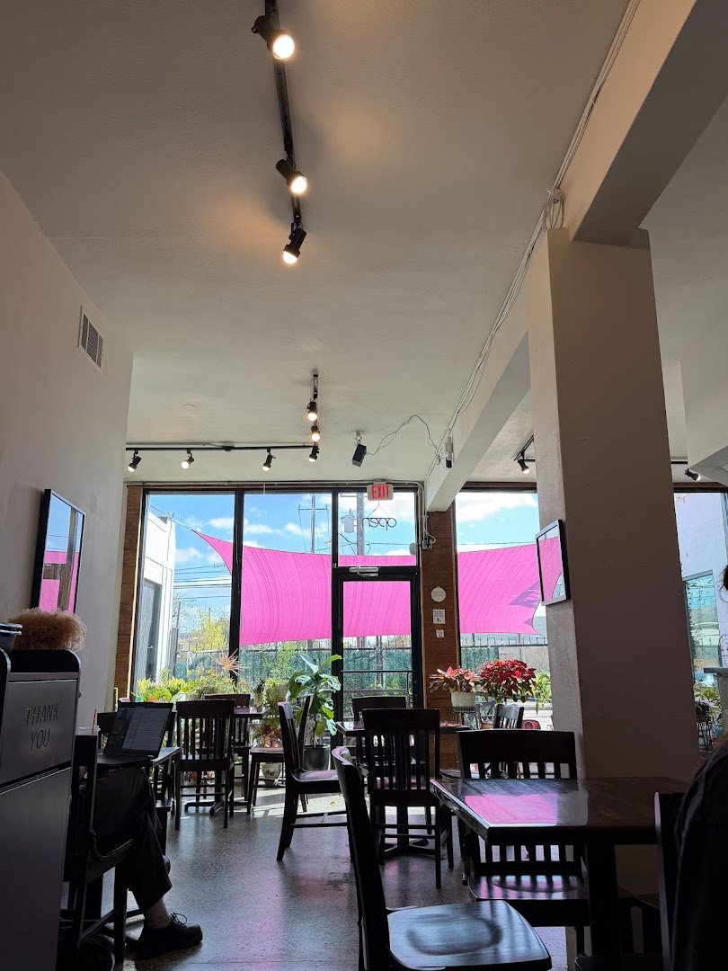 Native Coffee specialty coffee shop in Houston - photo 10