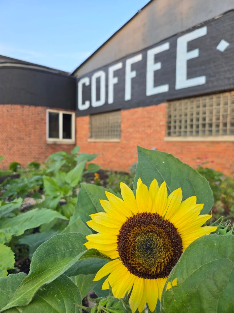 Storefront of Wild Child Coffee Co, specialty coffee shop in Indianapolis