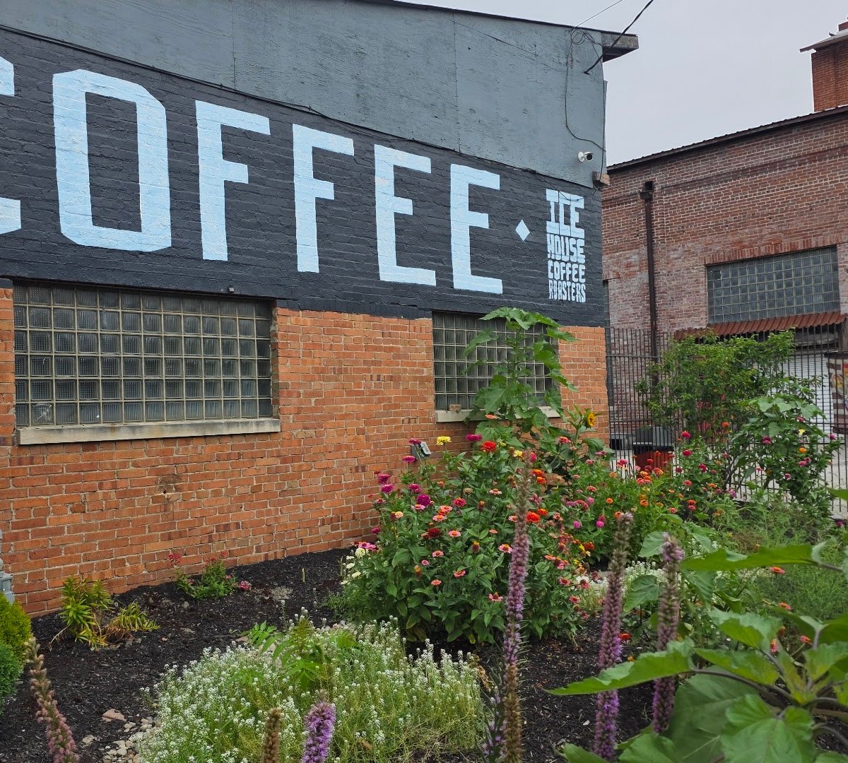 Storefront of Wild Child Coffee Co, specialty coffee shop in Indianapolis