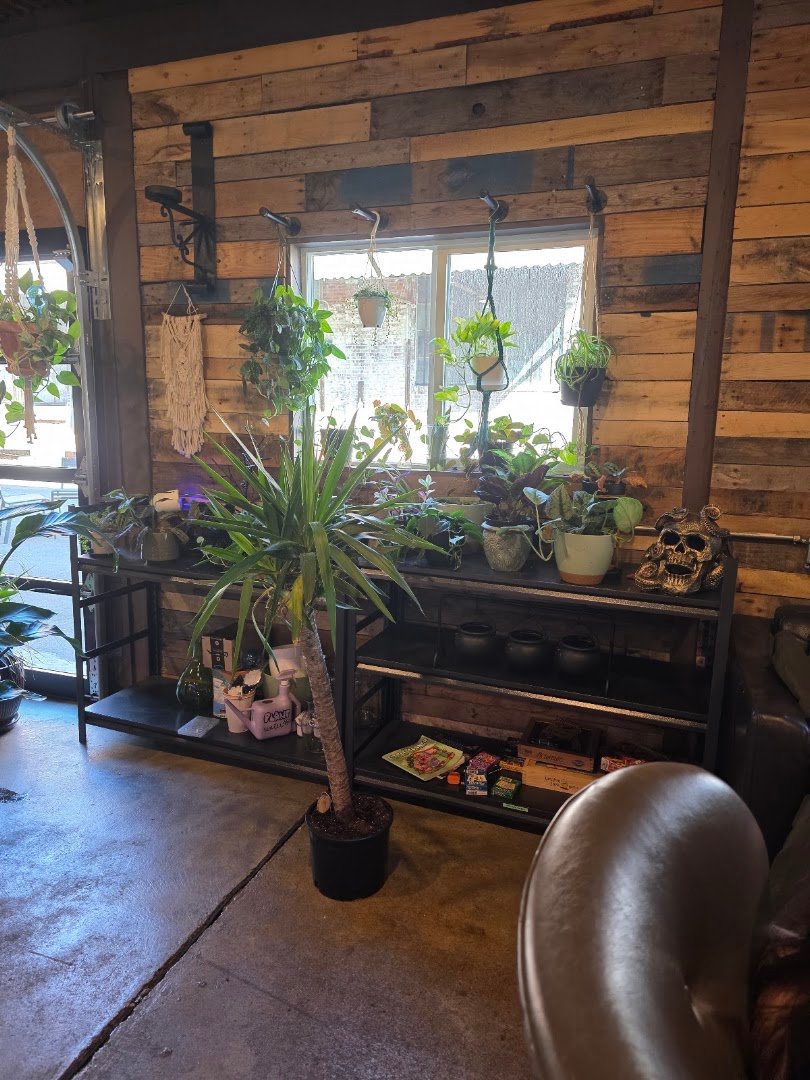 Interior of Wild Child Coffee Co, specialty coffee shop in Indianapolis