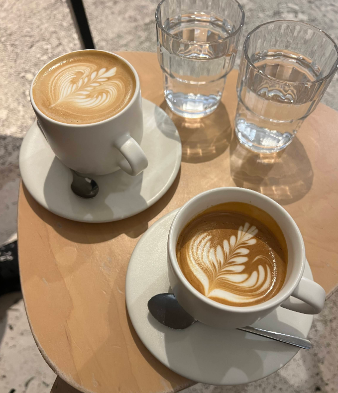 Primary, Potts Point specialty coffee shop in Sydney - photo 2