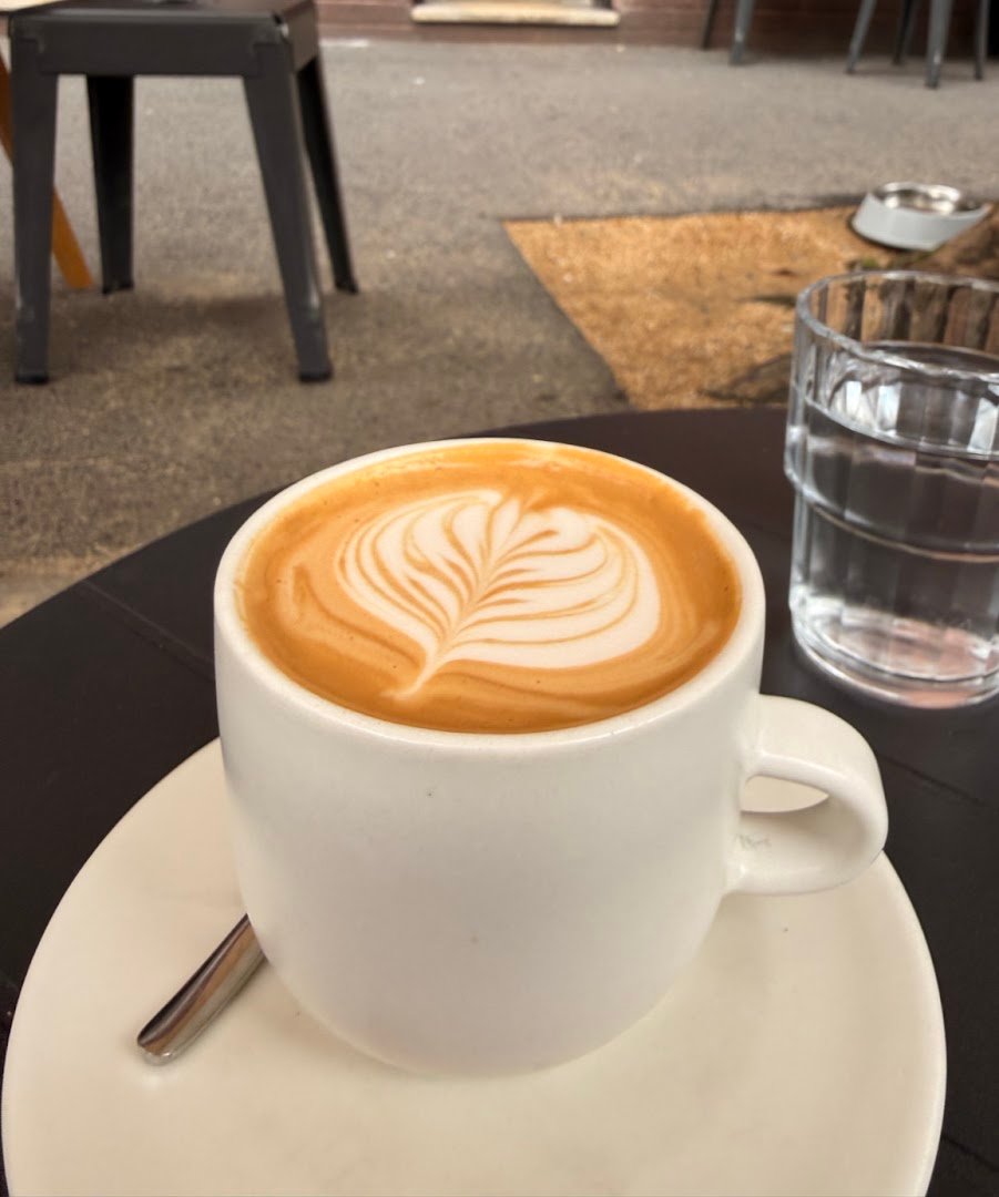 Primary, Potts Point specialty coffee shop in Sydney - photo 4