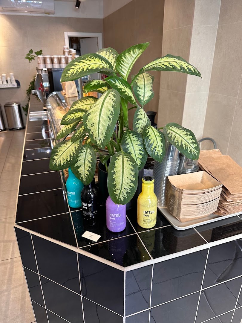 Syra Coffee specialty coffee shop in Barcelona - photo 6