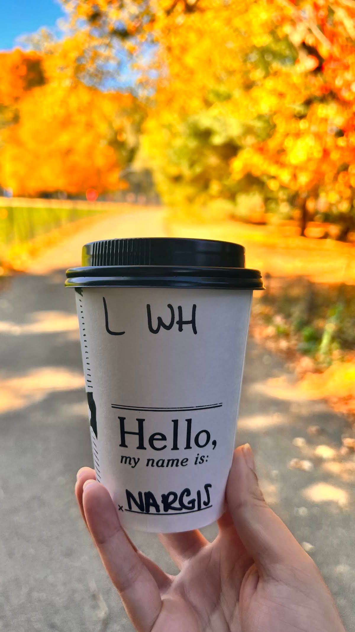 Birch Coffee specialty coffee shop in New York - photo 11