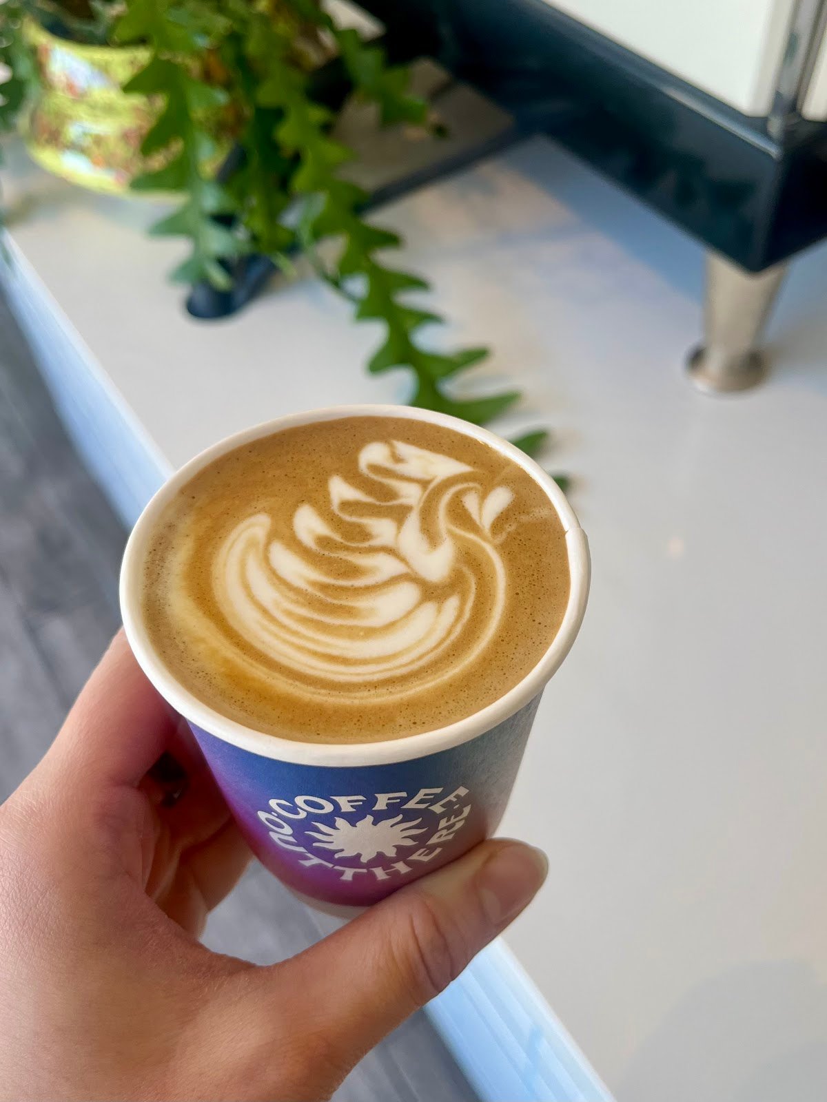 Out There Coffee Roasters specialty coffee shop in San Francisco - photo 2