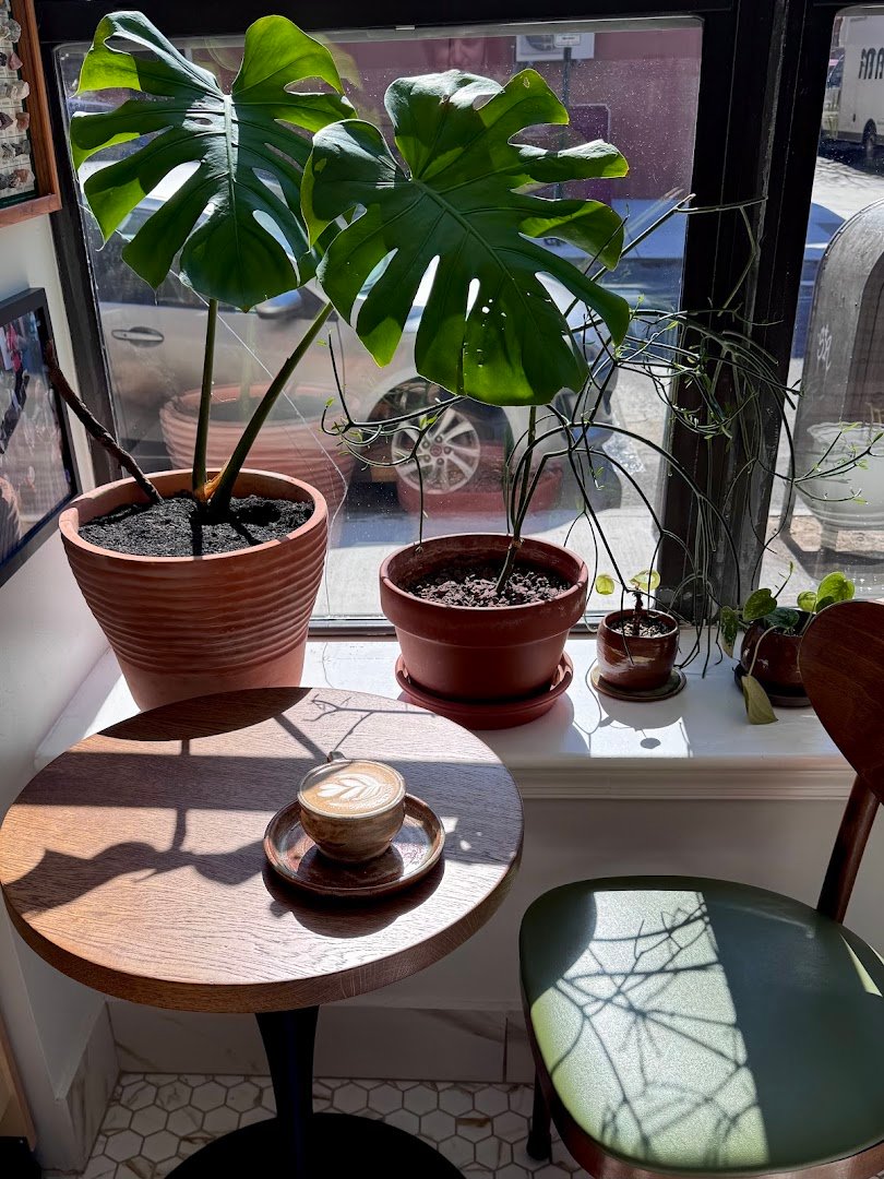Interior of Mug Coffee & Clay, specialty coffee shop in Philadelphia