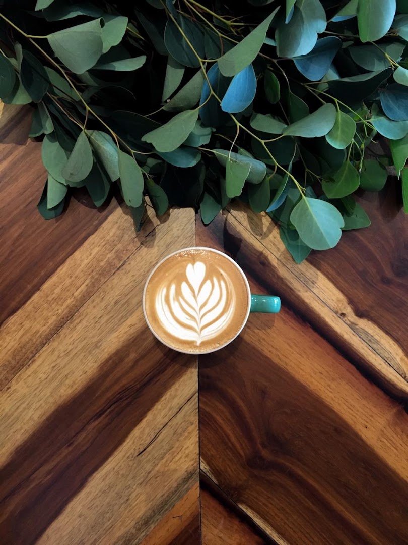 Flatmountain Coffee Roasters specialty coffee shop in Cape Town - photo 5