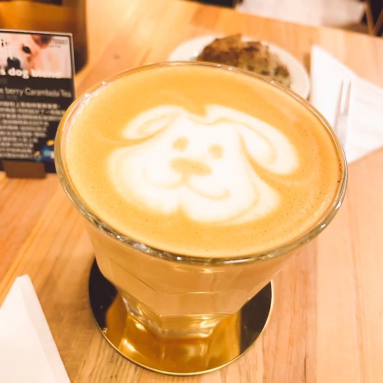 RockyDoggy Coffee Store/咬滾狗狗咖啡館 specialty coffee shop in Taipei - photo 5