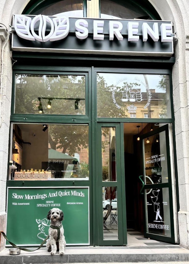 SERENE – Specialty Coffee & More specialty coffee shop in Budapest - photo 2