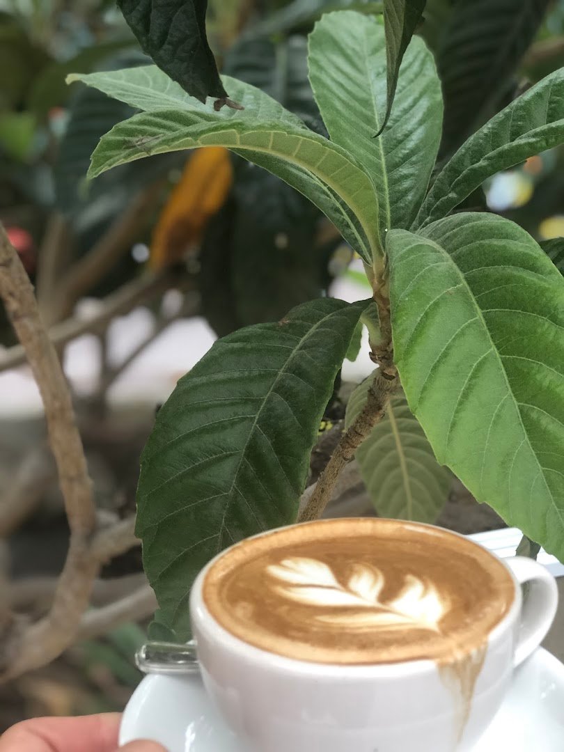 Coffee at Caffe Luxxe, specialty coffee shop in Santa Barbara
