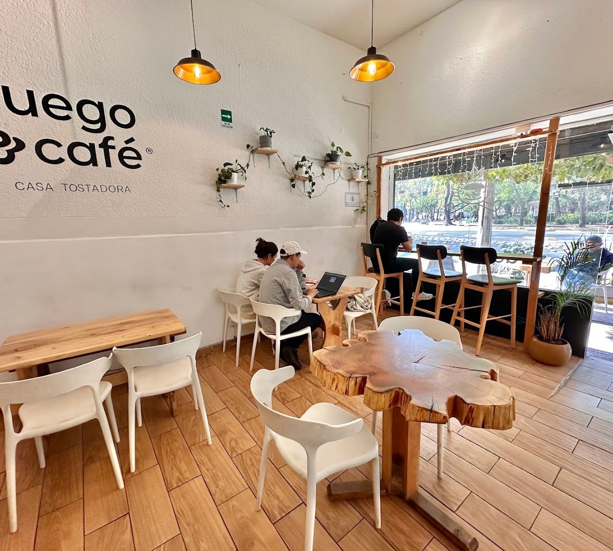 Interior of Fuego & Café, specialty coffee shop in Mexico City