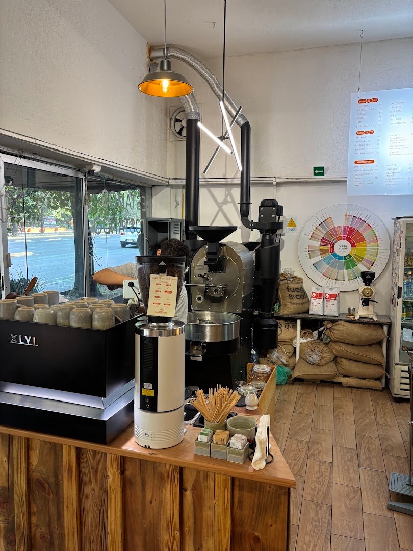 Interior of Fuego & Café, specialty coffee shop in Mexico City