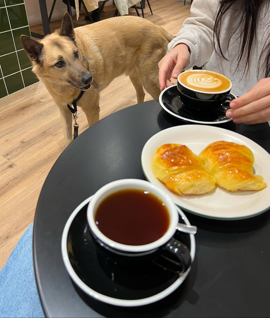 Merle Coffee specialty coffee shop in Barcelona - photo 10