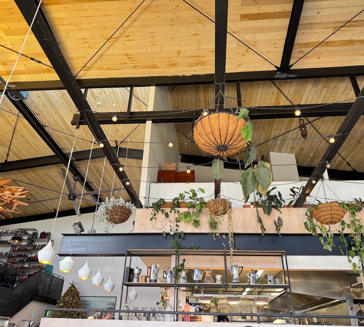 Interior of Crave, specialty coffee shop in Auckland