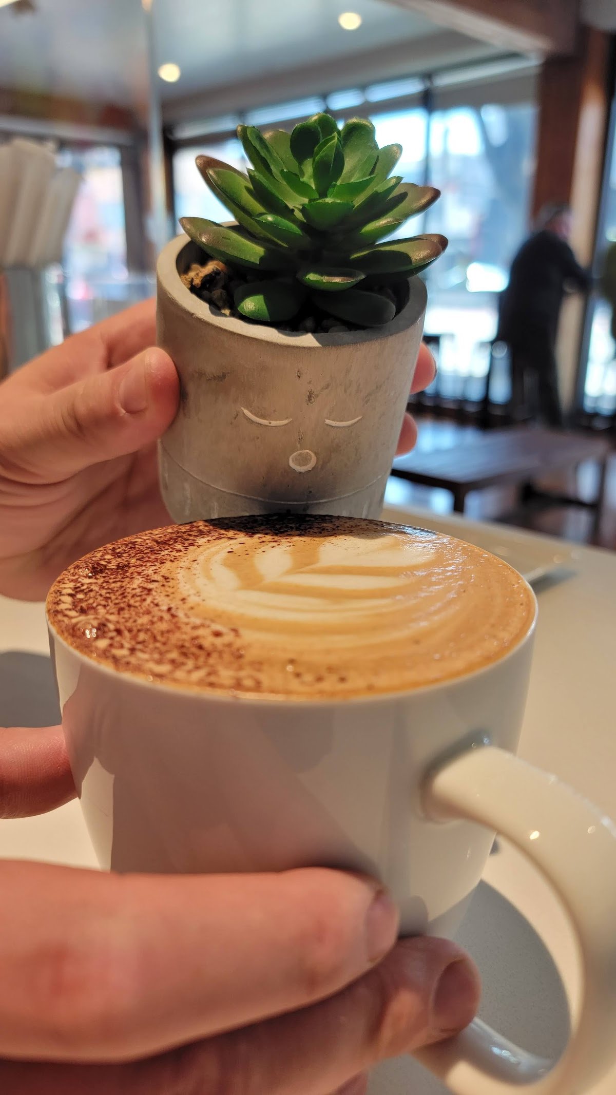 Abanico Coffee Roasters specialty coffee shop in San Francisco - photo 10