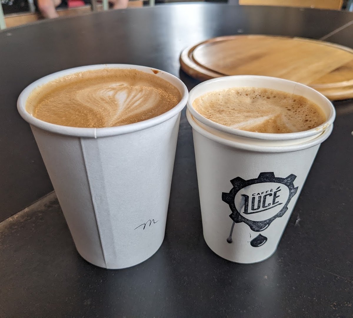 Caffe Luce specialty coffee shop in Tucson - photo 6