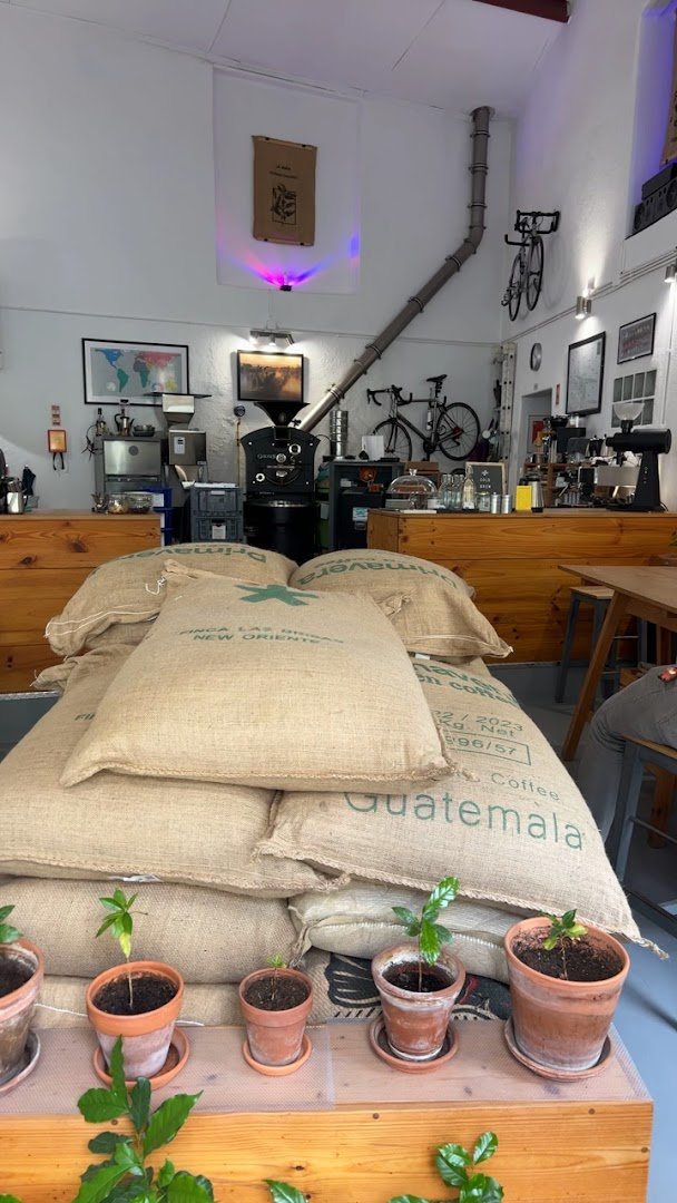 Interior of Olisipo Coffee Roasters, specialty coffee shop in Lisbon