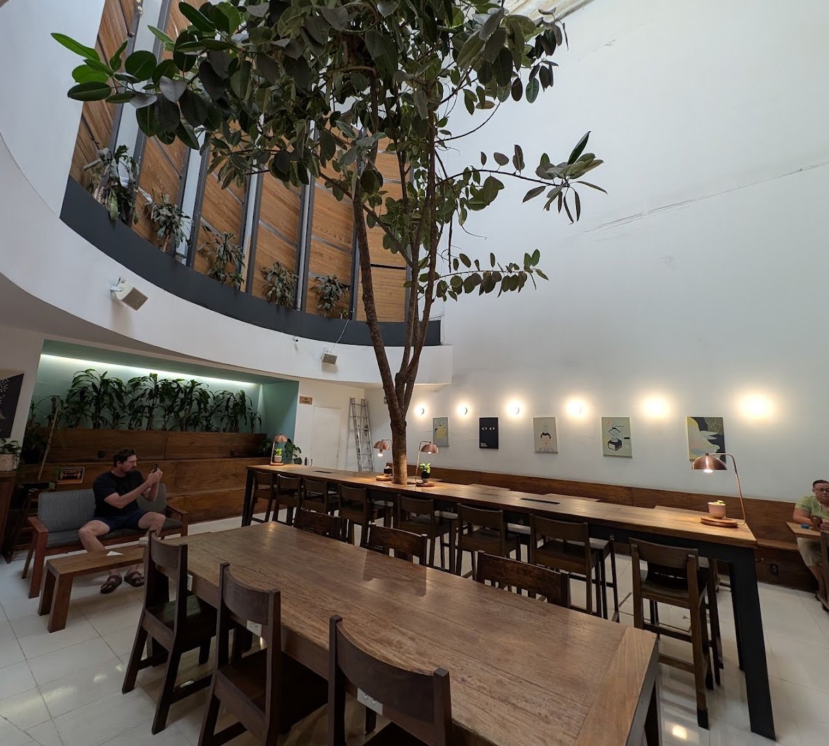Interior of Blend Station, specialty coffee shop in Mexico City