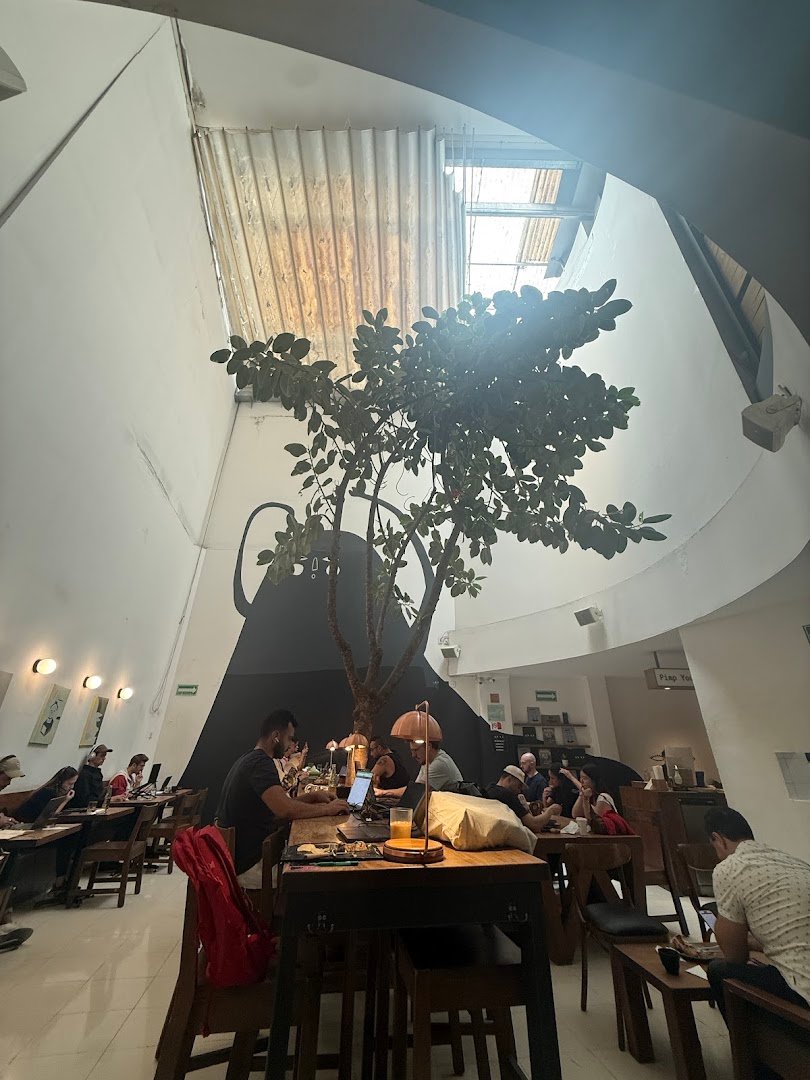 Interior of Blend Station, specialty coffee shop in Mexico City