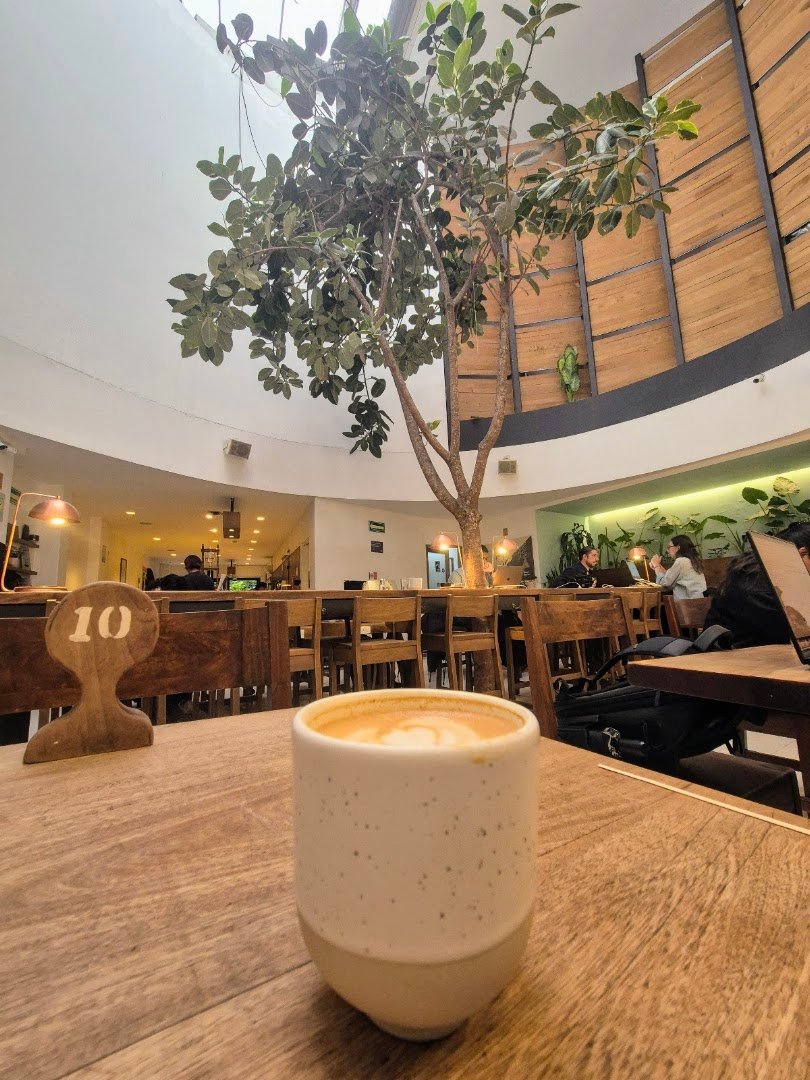 Coffee at Blend Station, specialty coffee shop in Mexico City