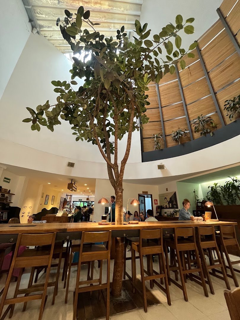 Interior of Blend Station, specialty coffee shop in Mexico City