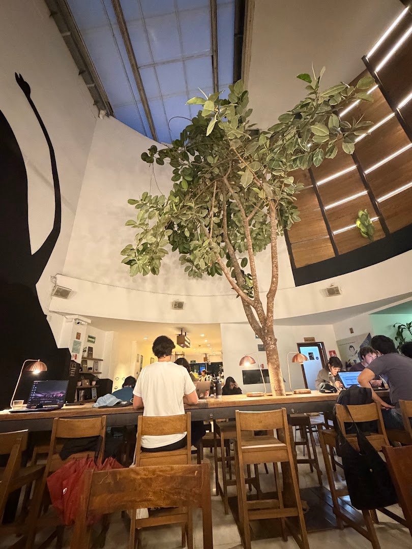 Interior of Blend Station, specialty coffee shop in Mexico City