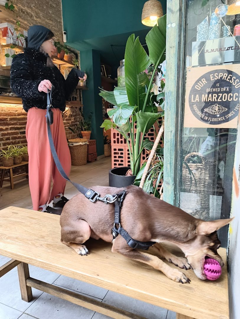 Sotaque Cafè specialty coffee shop in Barcelona - photo 4