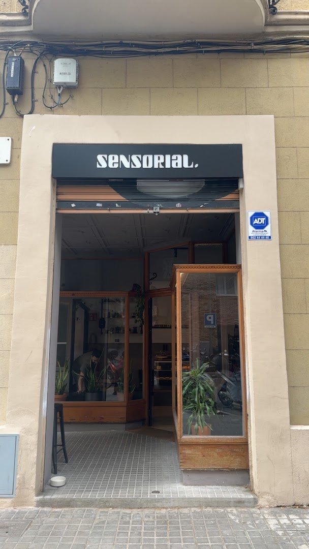 Sensorial Coffee Roasters specialty coffee shop in Barcelona - photo 15