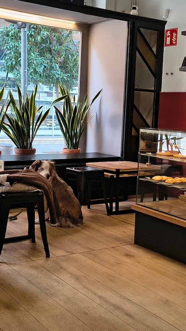 Sensorial Coffee Roasters specialty coffee shop in Barcelona - photo 3